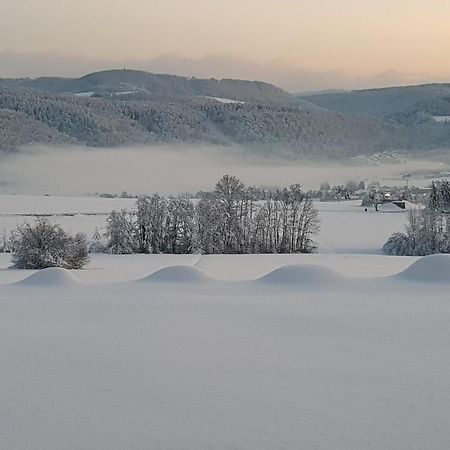 Appartamento Hochsalerblick Laufenburg Esterno foto