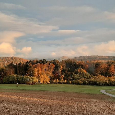 Appartamento Hochsalerblick Laufenburg Esterno foto