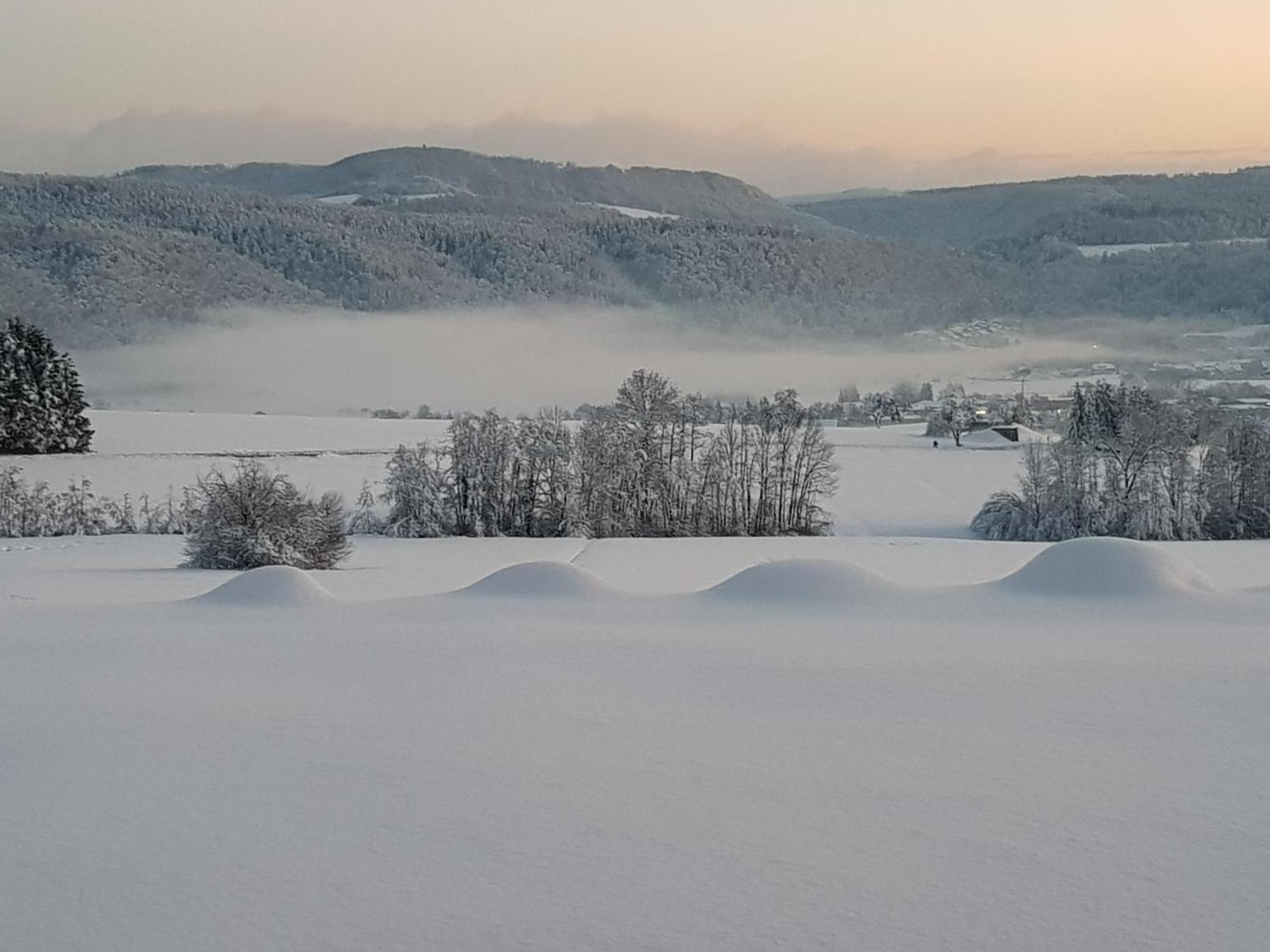 Appartamento Hochsalerblick Laufenburg Esterno foto