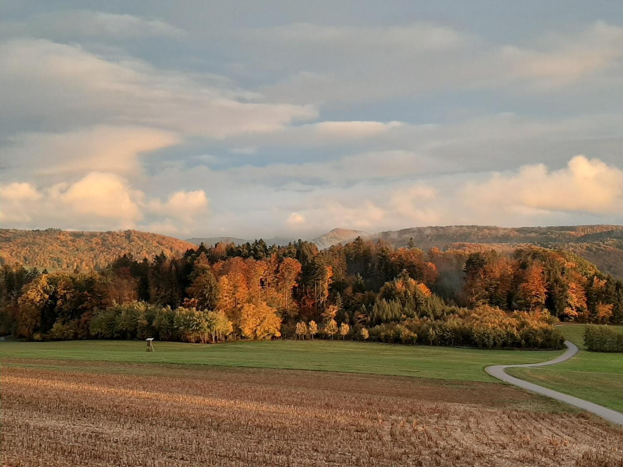 Appartamento Hochsalerblick Laufenburg Esterno foto